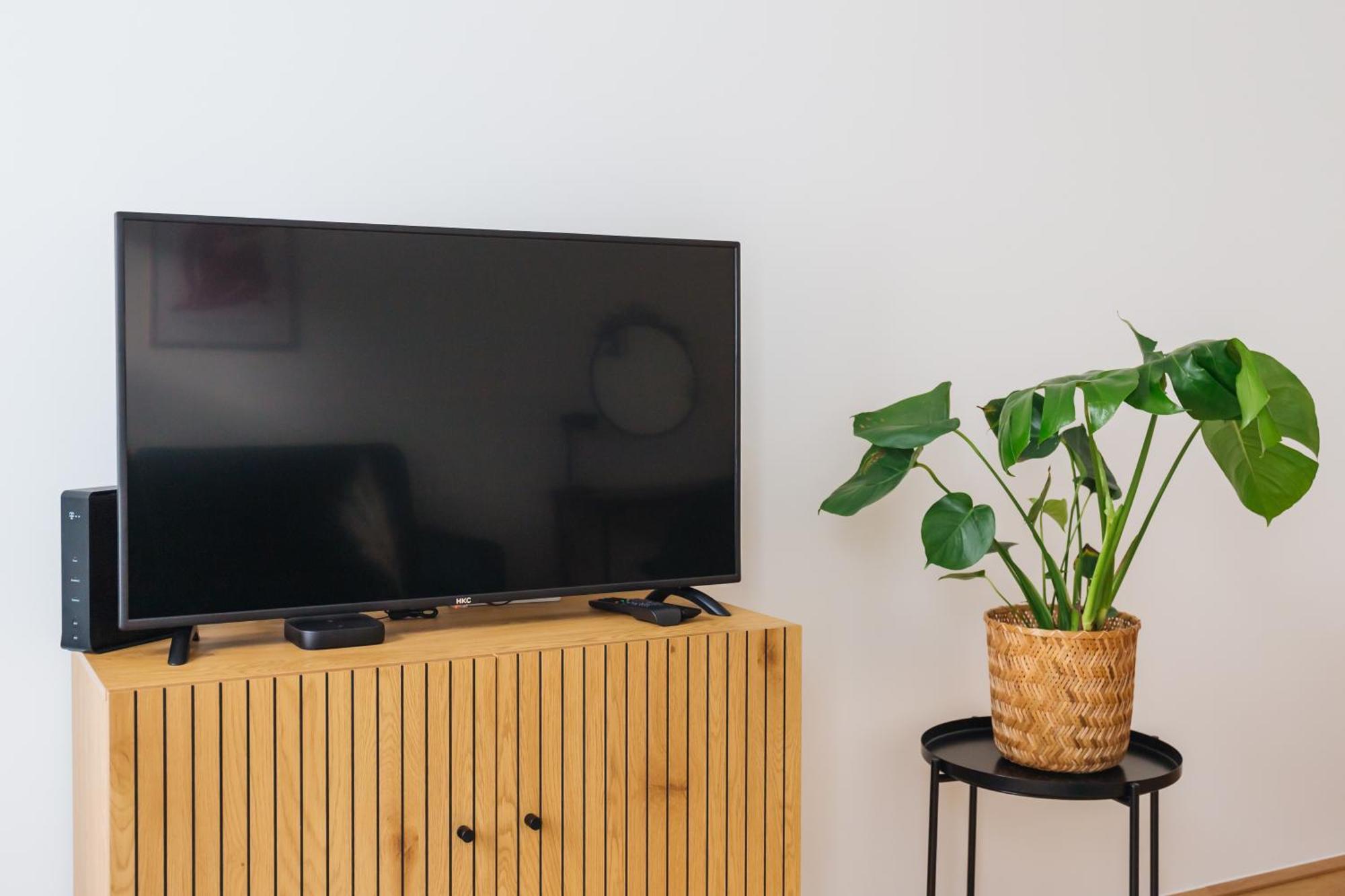 Brand Cozy Apartment فيينا المظهر الخارجي الصورة